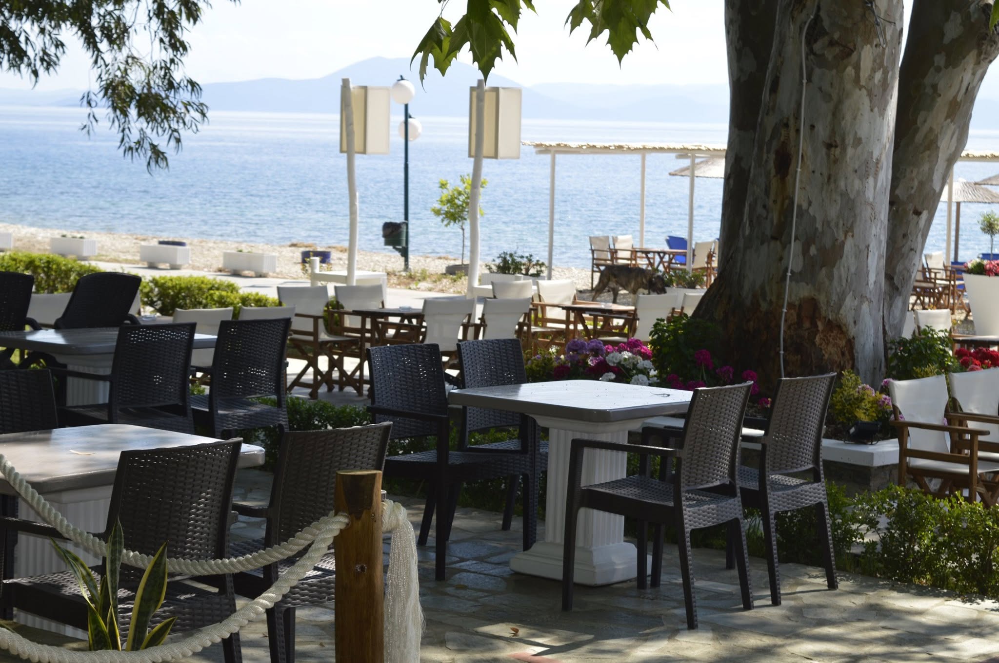 Edem Paradise on Earth στα Καλά Νερά