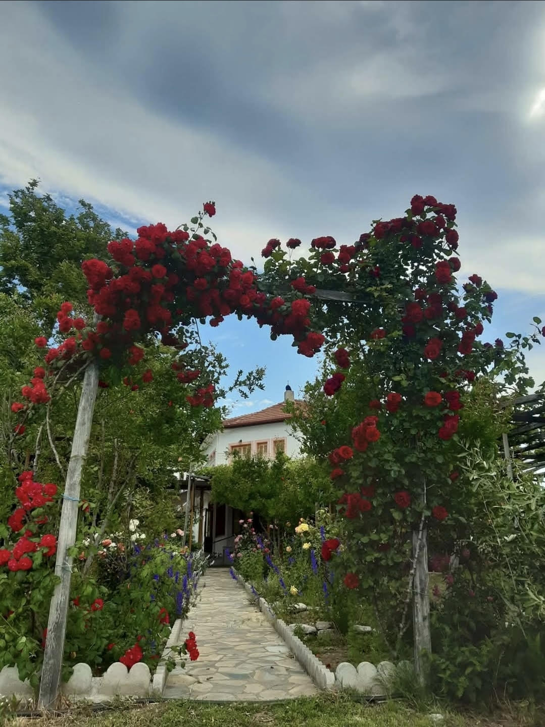 Rodia Garden Restaurant in Kala Nera